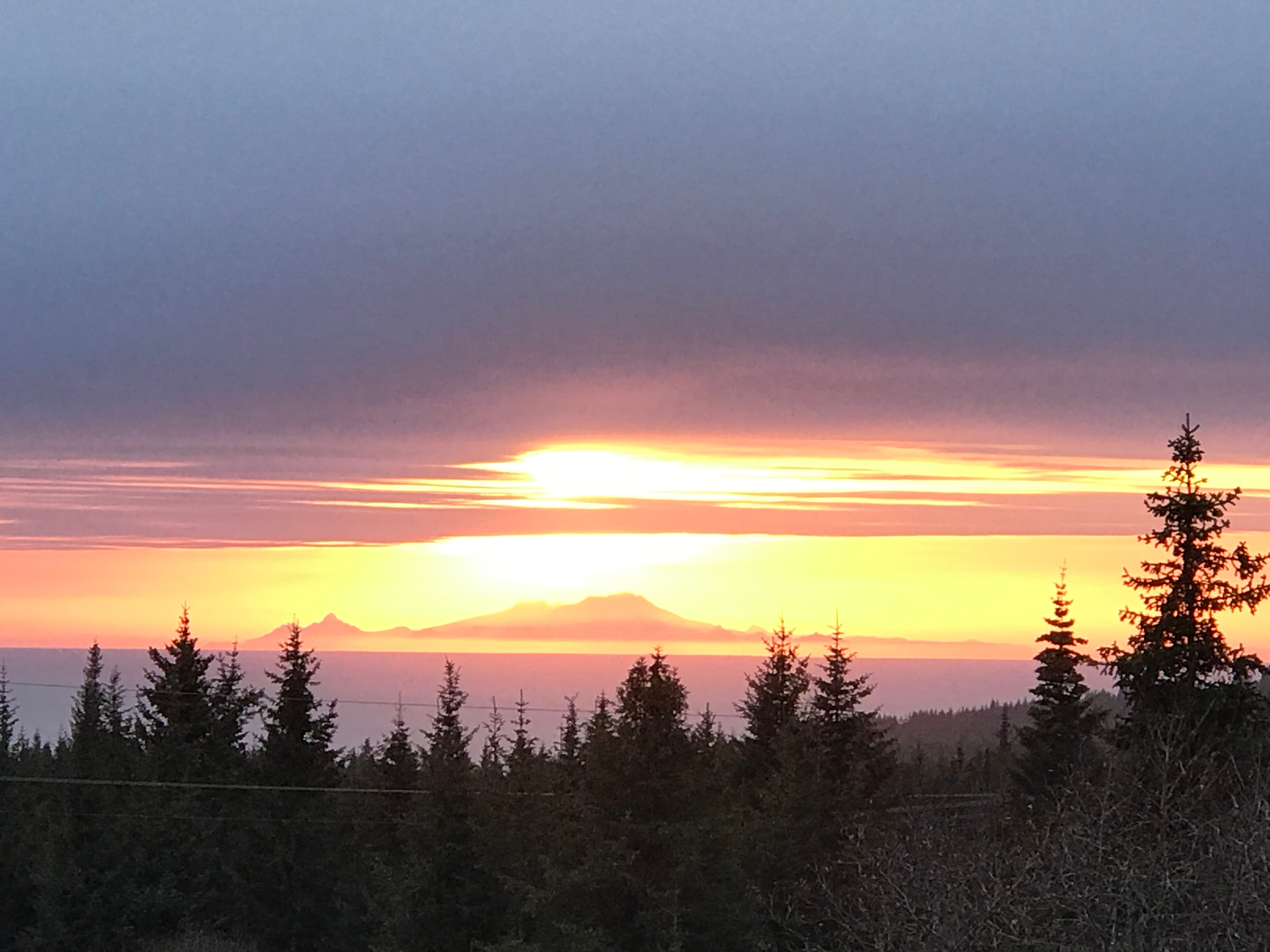 Pine trees silhouetted against a sunset of yellows, oranges, purples, and pinks
